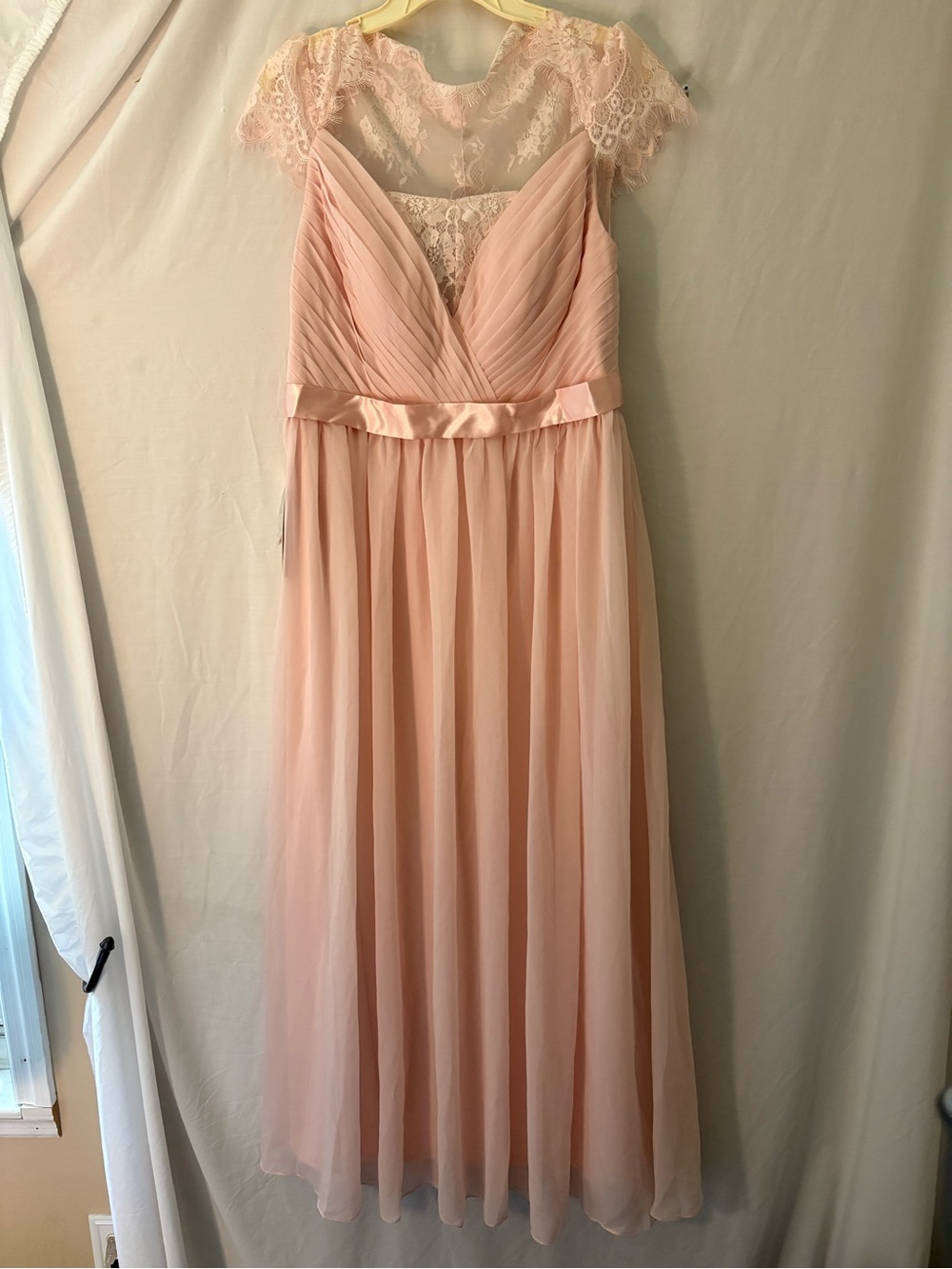 Renz Bridal Blush Pink Chiffon Dress